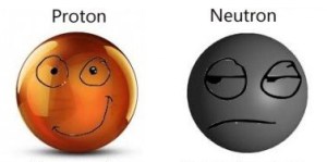 La fuerza nuclear fuerte que mantiene unidos a los protones y neutrones actúa sobre las partículas que los componen, los quarks. La interacción entre quarks se realiza a través de las partículas llamadas gluones.