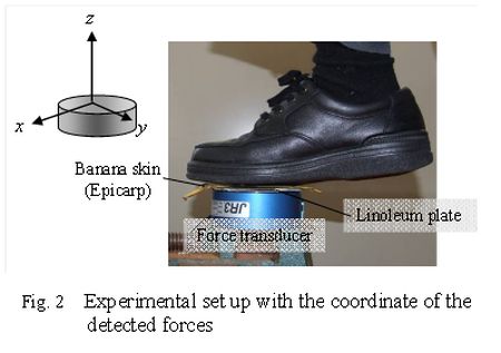 Montaje experimental