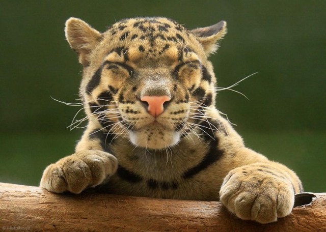 4fc19321cc8bb4c9485c0d345ee8c9e7