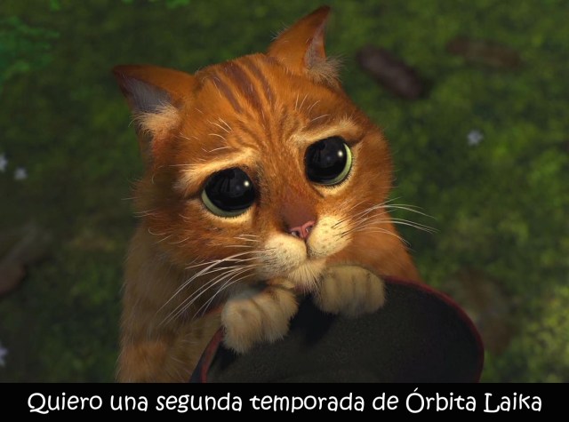 el-gato-de-shrek-def