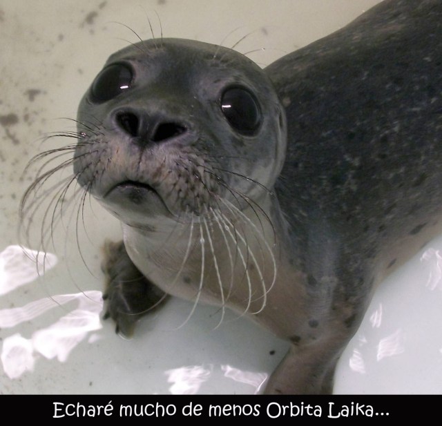 funny-animal-photo-095-017 copy