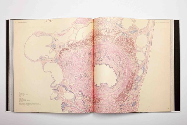 The Art of Transforming Nature