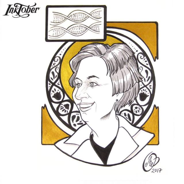 22885833_10155166432722183_8085779444131787074_n